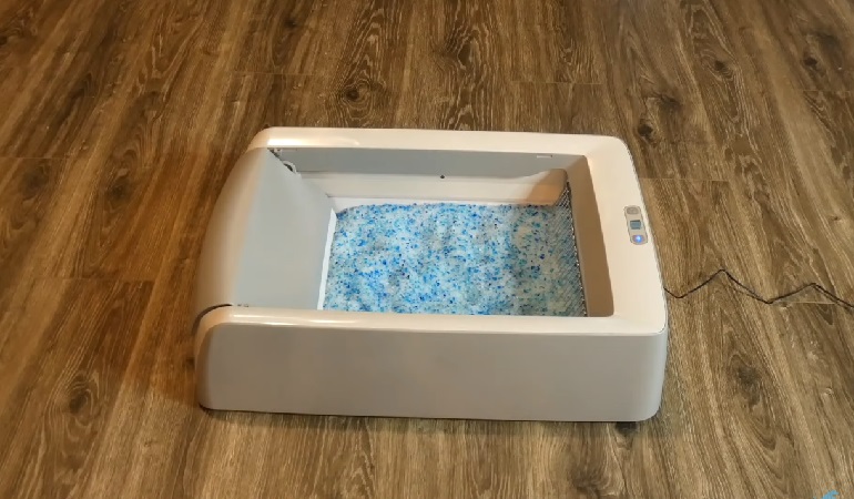 scoopfree litter box review
