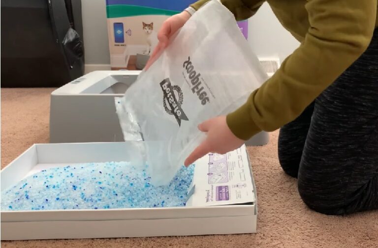 ScoopFree Litter Box Reviews Is It Worth The Hype??