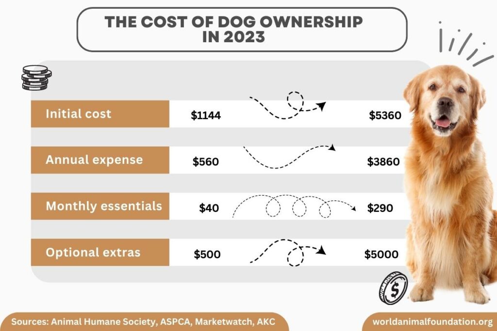 average monthly cost of owning a dog