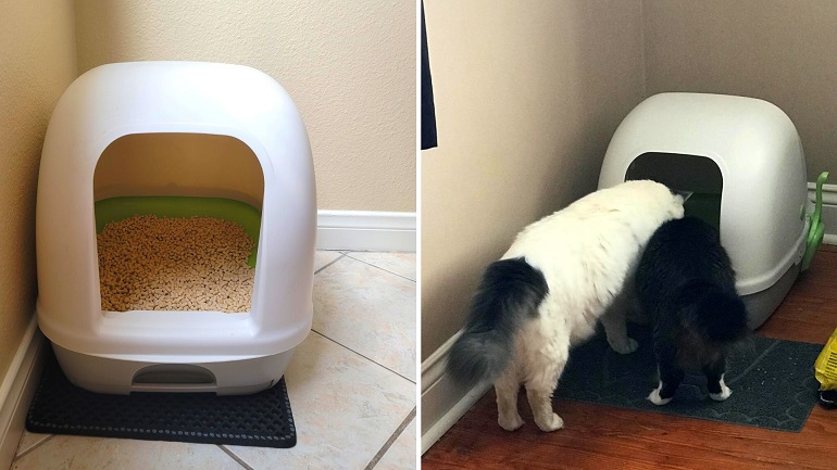 breeze xl litter box reviews
