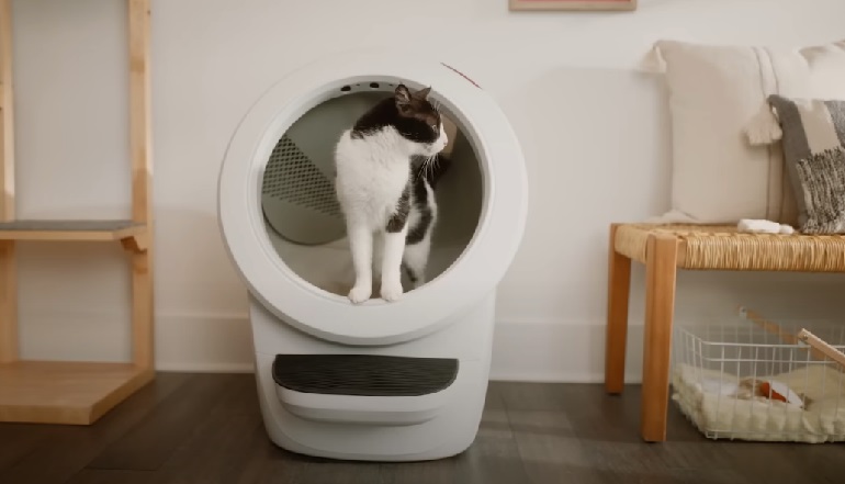 litter robot review