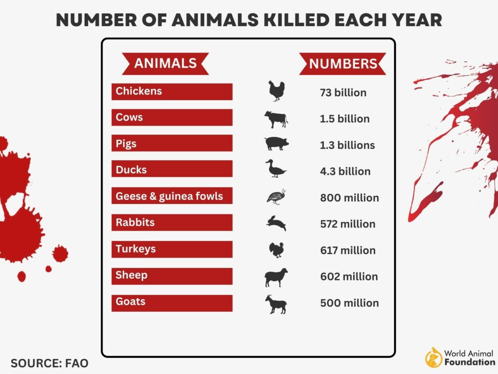 Dark Side Of Humanity - How Many Animals Killed Each Year?