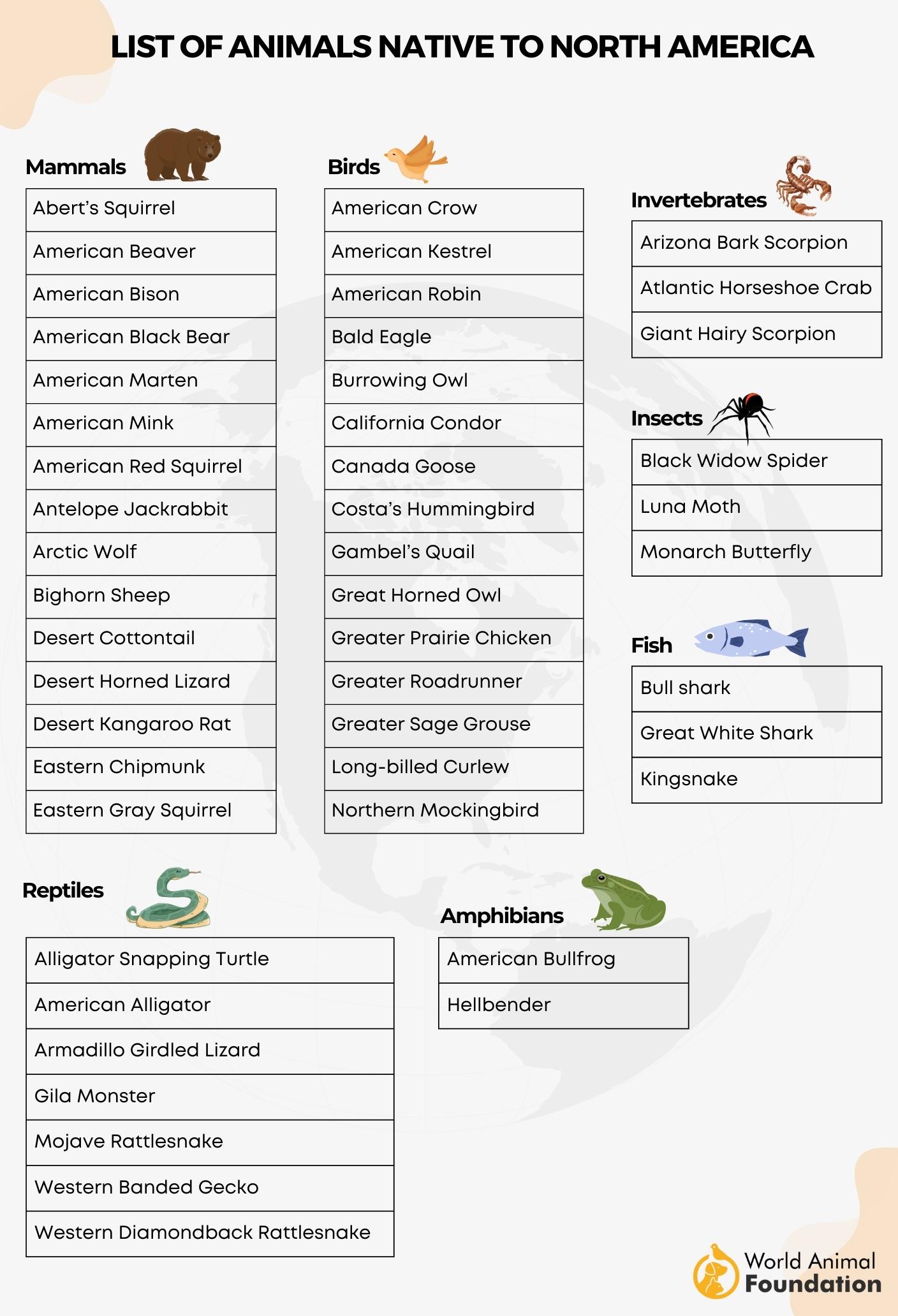 North American Animals List