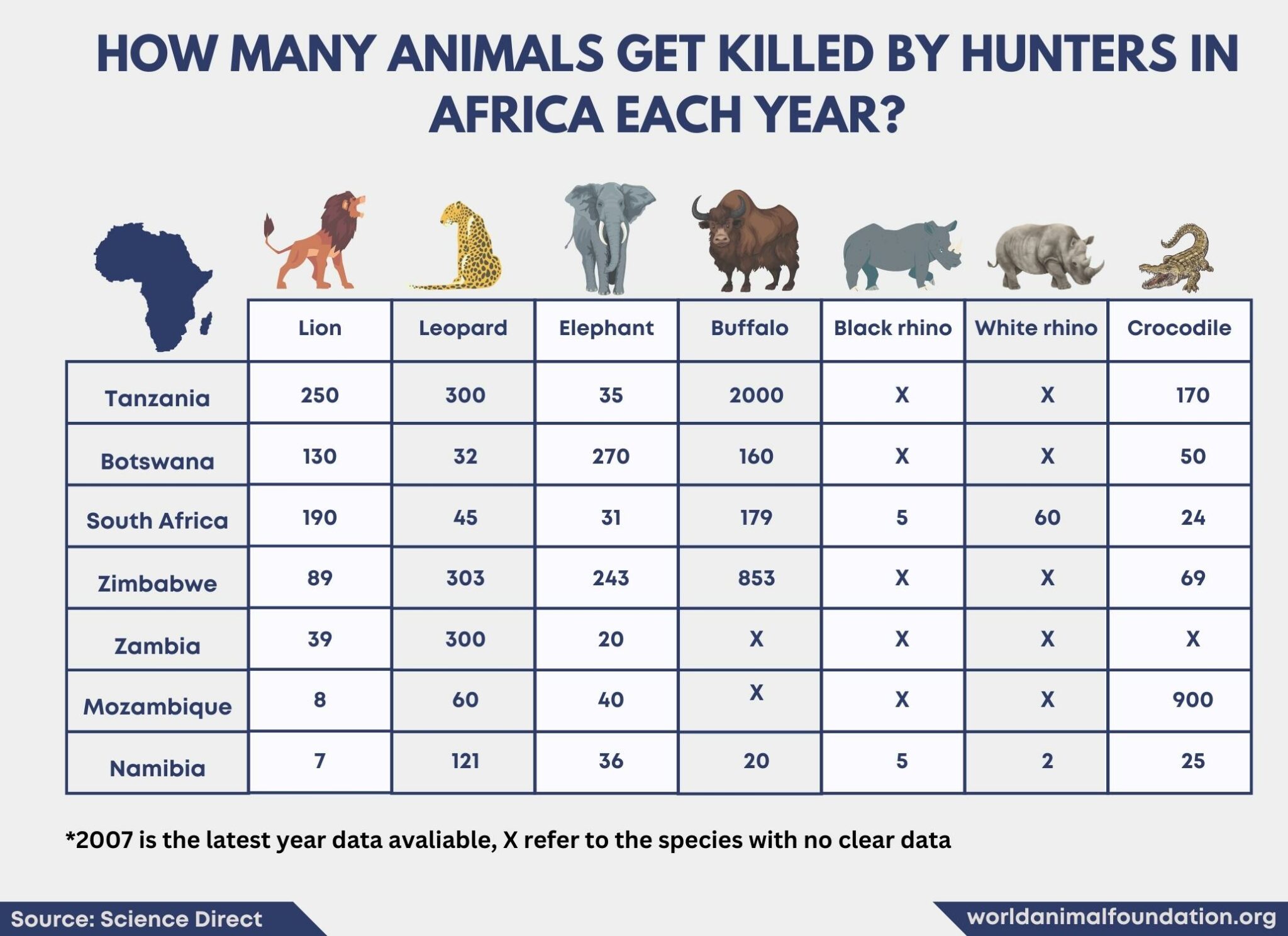 Hunting To Extinction Hunting Wild Animals To Extinction - How Can We Stop It?
