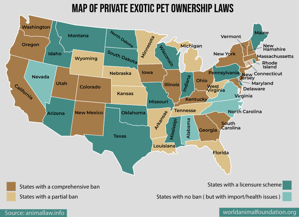 exotic animal laws by state