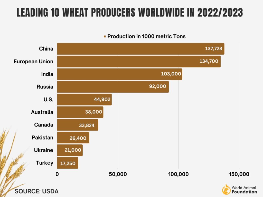 Flour Power: A Look At The Top Wheat Exports By Country