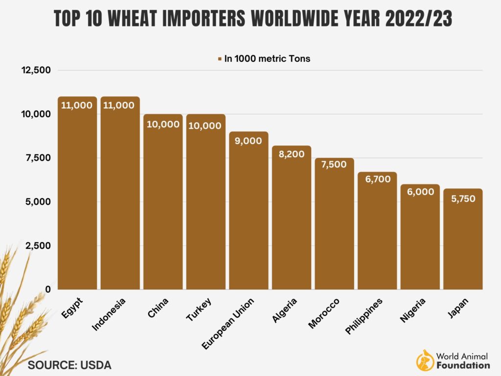 biggest wheat exporters
