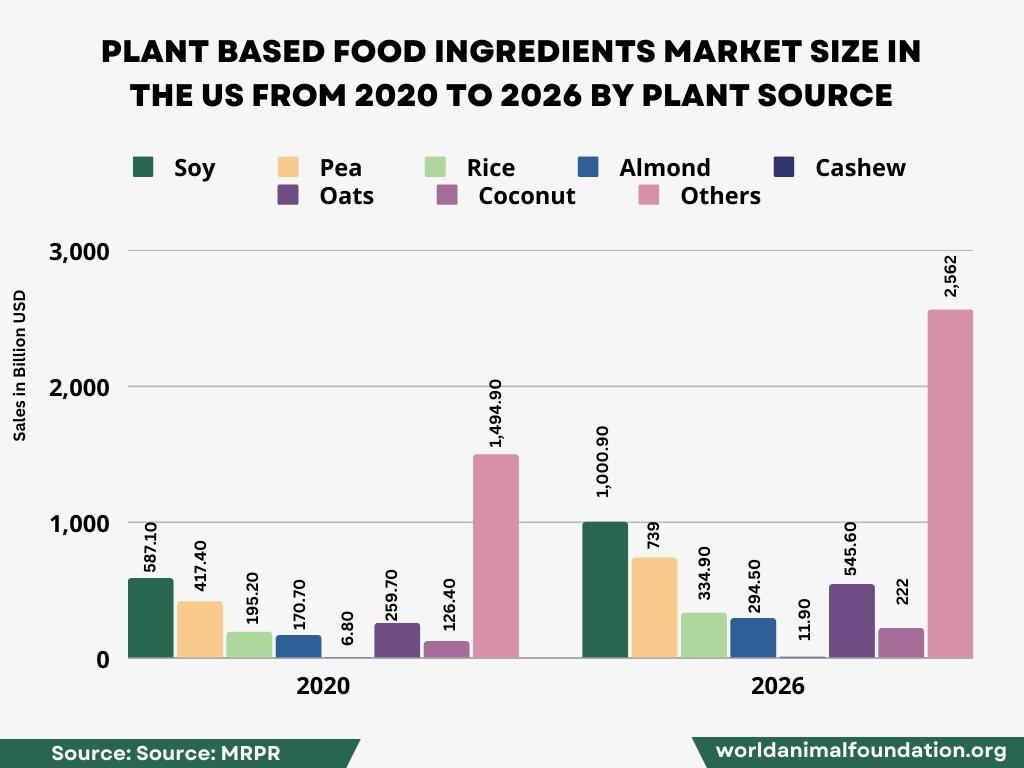 plant-based food & meat substitute