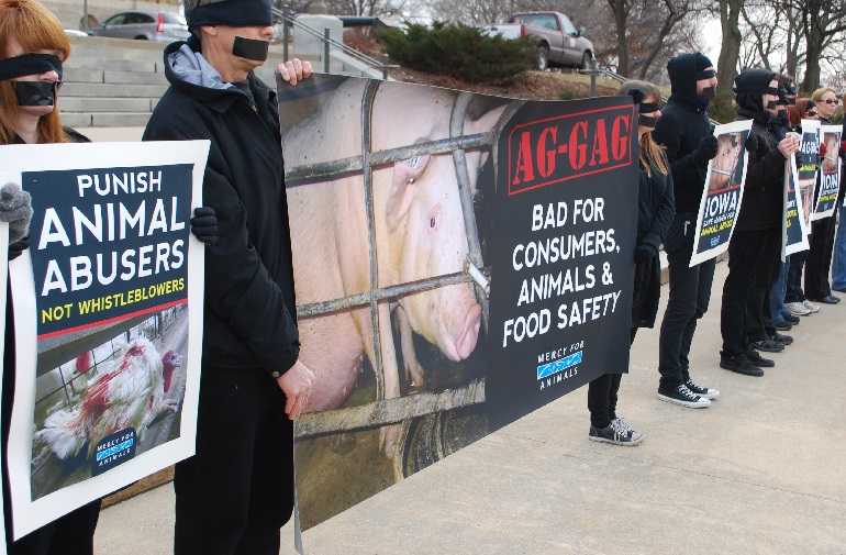 group that advocates animal rights
