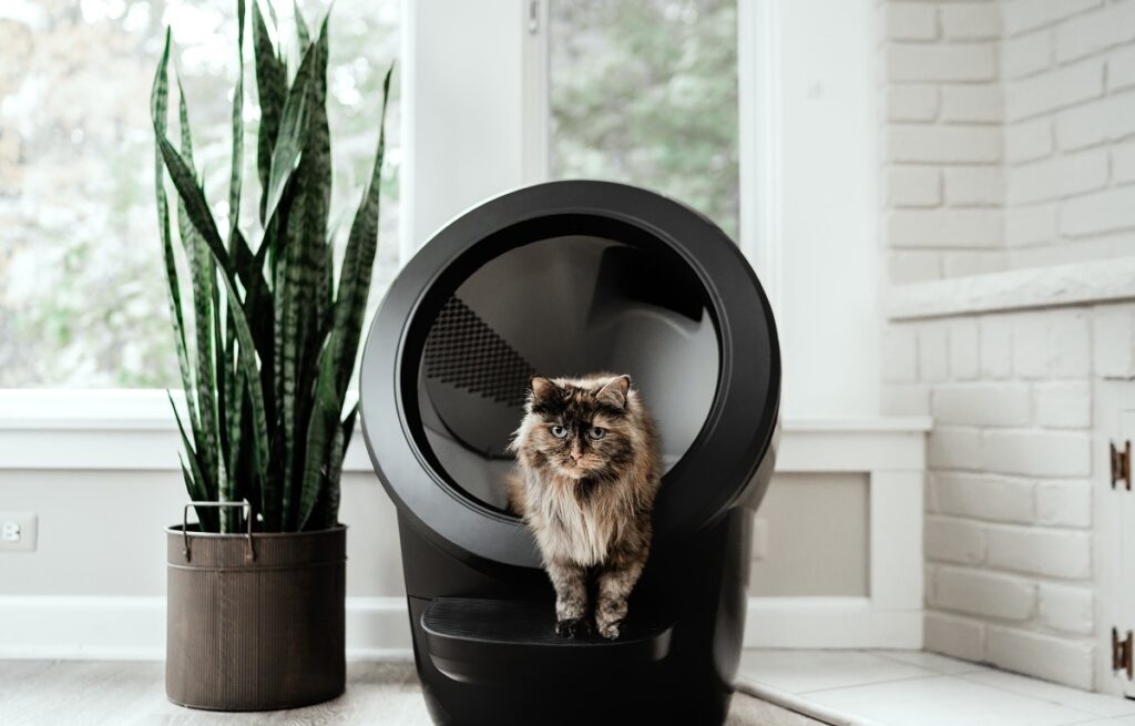 Litter robot outlet alternative