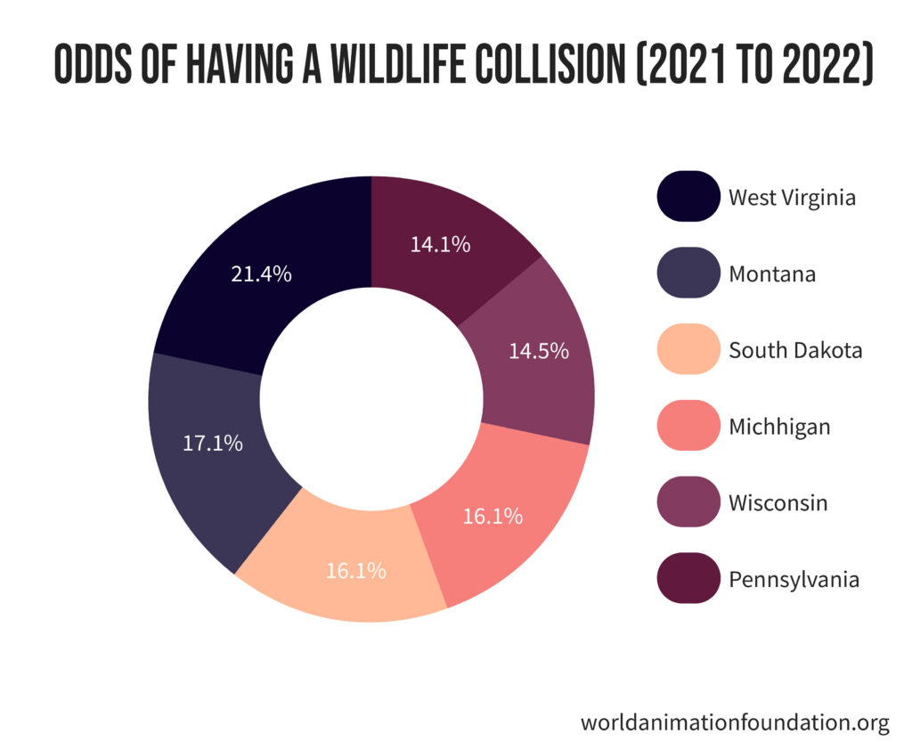 how many deer are killed each year