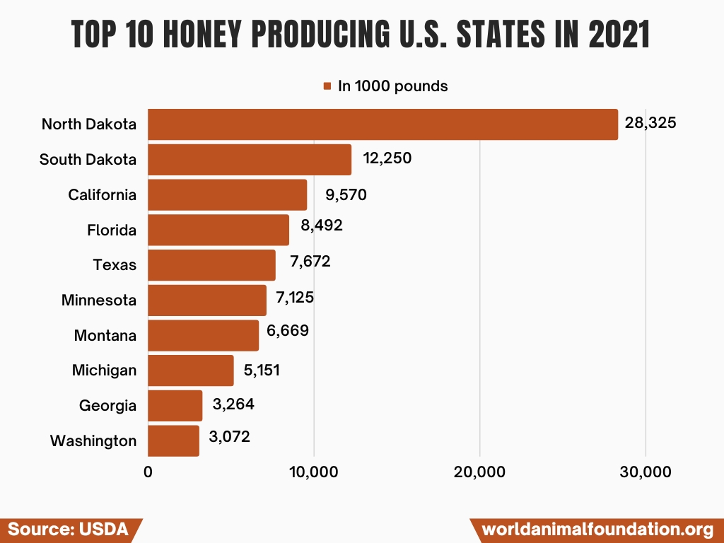 How Many Bees Are In The World 2024 - Reggi Charisse