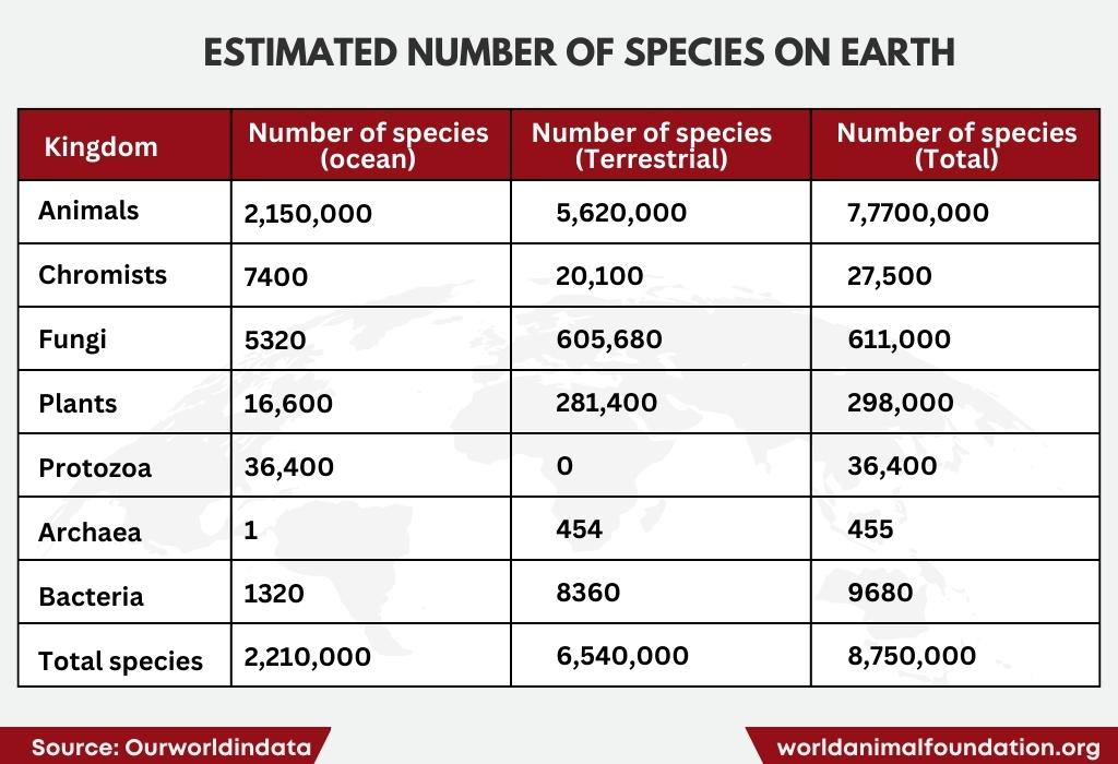 individual animals on the entire planet