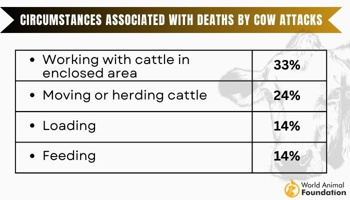 Circumstances Associated With Deaths by Cow Attacks: