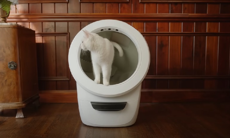 Litter robot 4 review