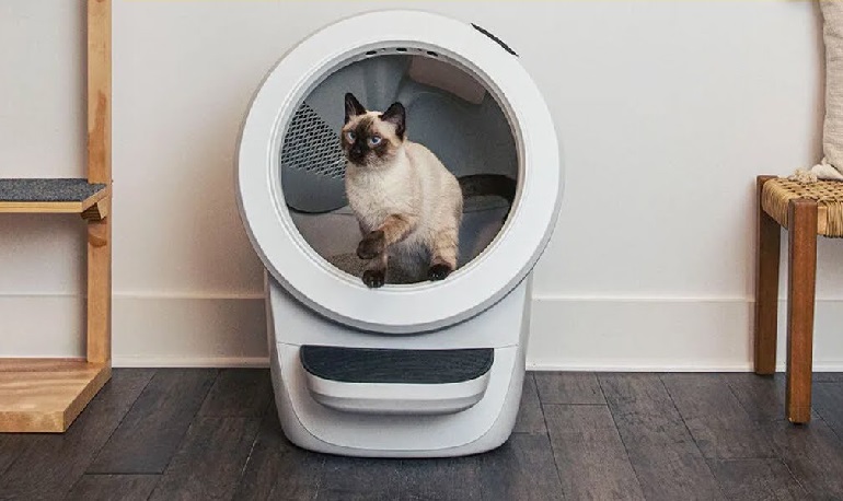 Litter-Robot 4 Reviews: A Game-Changer For Cat Owners?