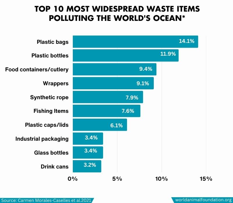 What Lies Beneath Startling Ocean Pollution Facts Revealed   Most Widspread Waste Items Review 