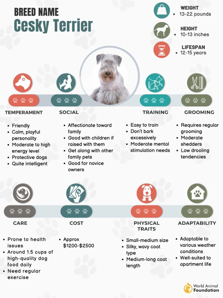 terrier dog breed chart