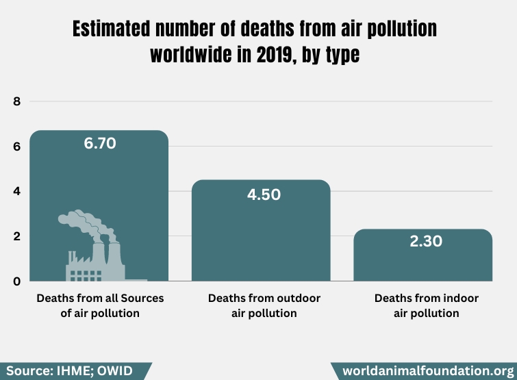 number of deaths due to pollution