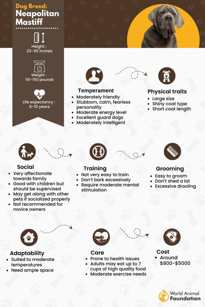 Mastiff hotsell food chart