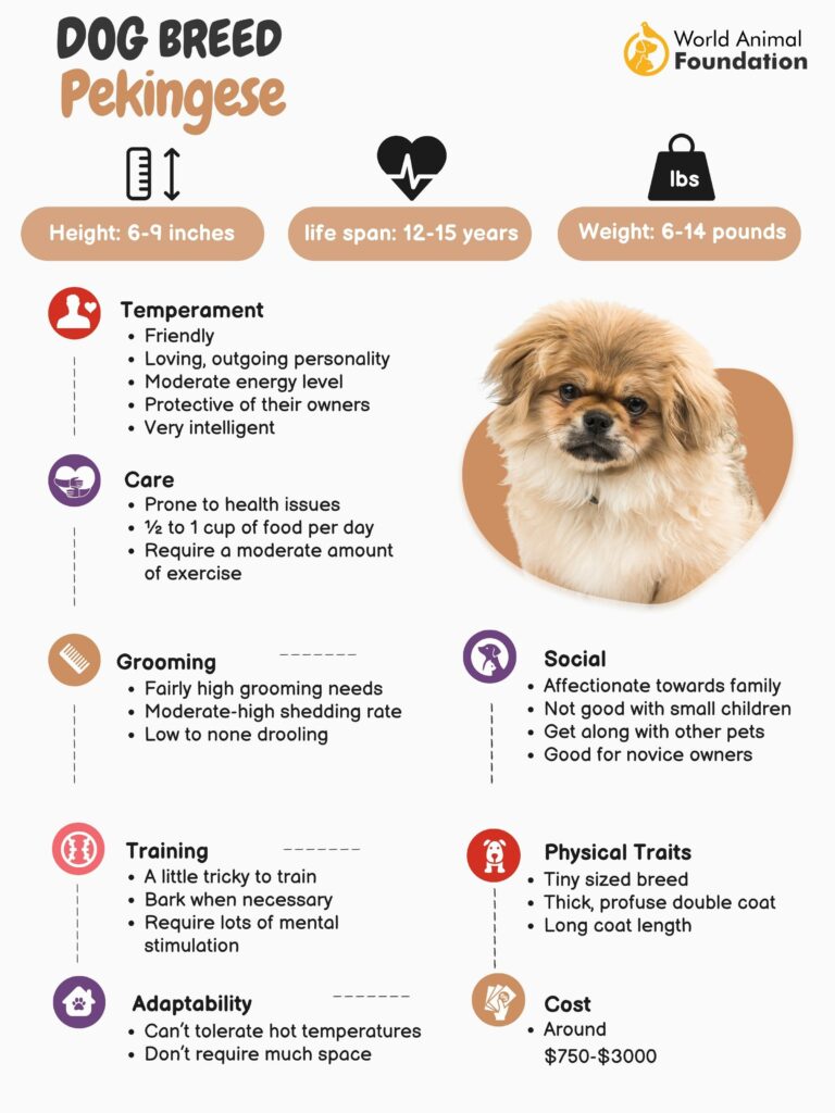 Best dog clearance food for pekingese