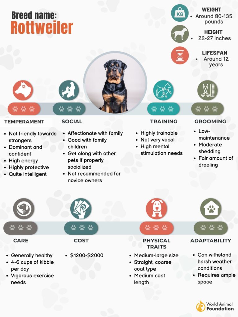 Dog weight guide  Rottweiler, Cat facts text, Dogs