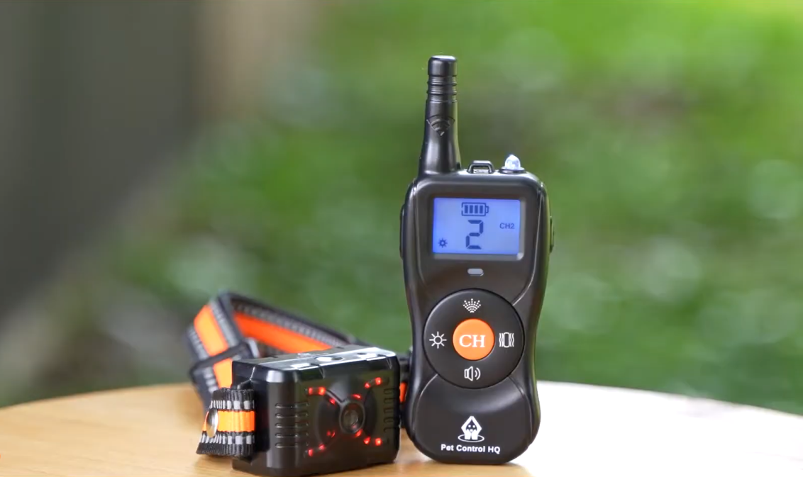 How Many Volts Is A Dog Shock Collar? [Is It Cruel Or Not]