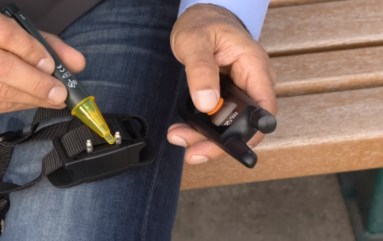 How Many Volts Is A Dog Shock Collar? [Is It Cruel Or Not]