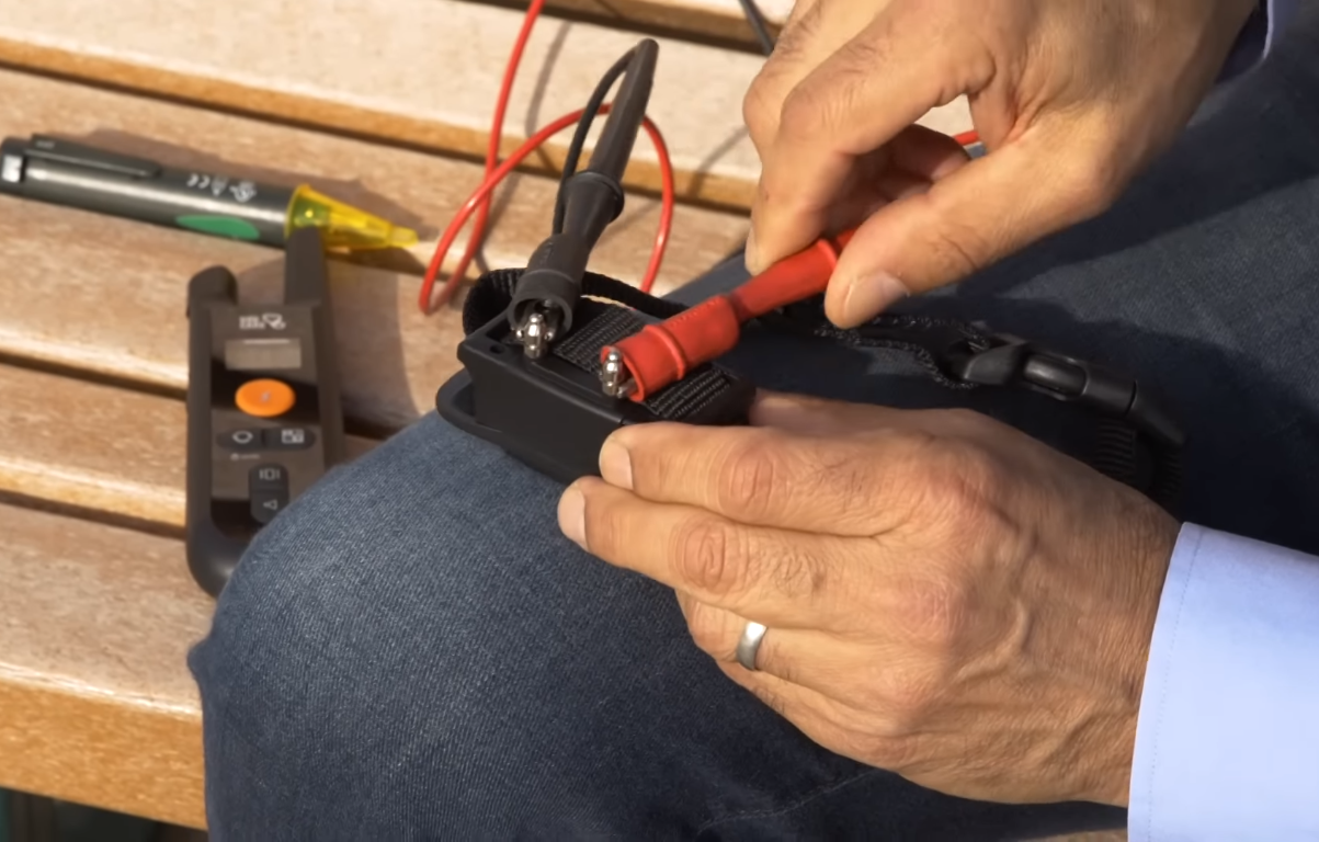 How Many Volts Is A Dog Shock Collar? [Is It Cruel Or Not]