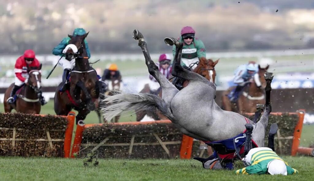 the grand national