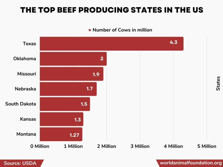 What State Produces The Most Beef: A Comprehensive Analysis