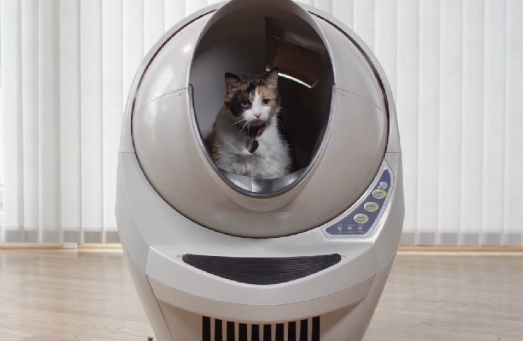 Cheapest hotsell litter robot