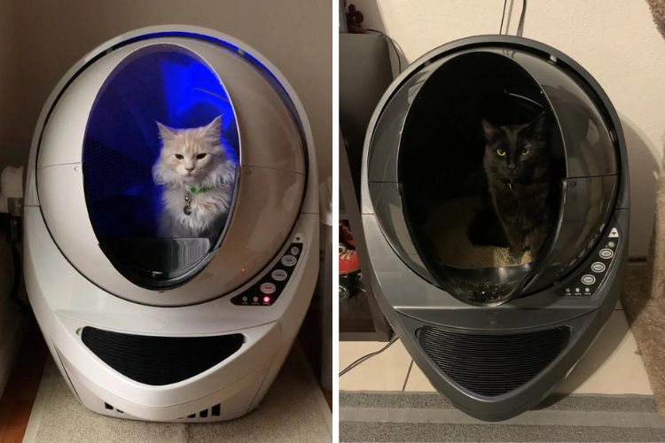 Litter-Robot 3 Connect in black and white