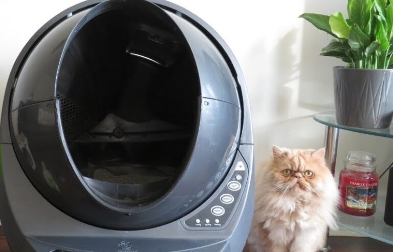 Litter Robot 3 litterbox