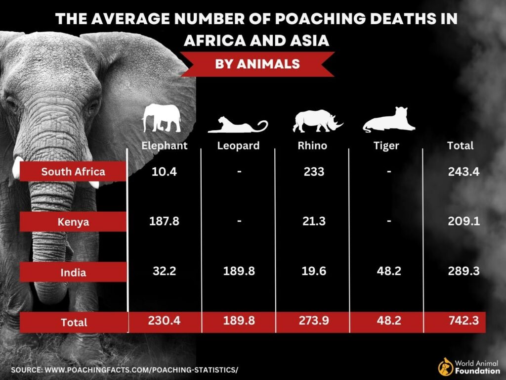 poaching in the USA