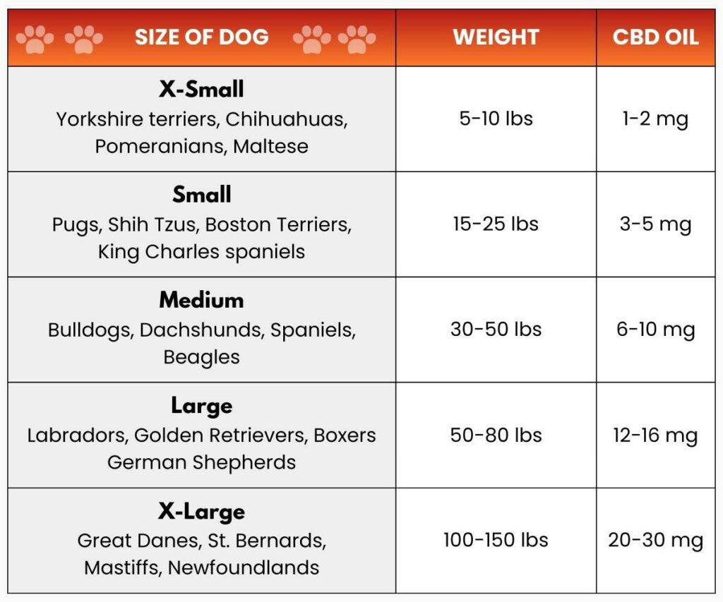 How To Give CBD Oil To Dogs - Dosage & Administration Tips