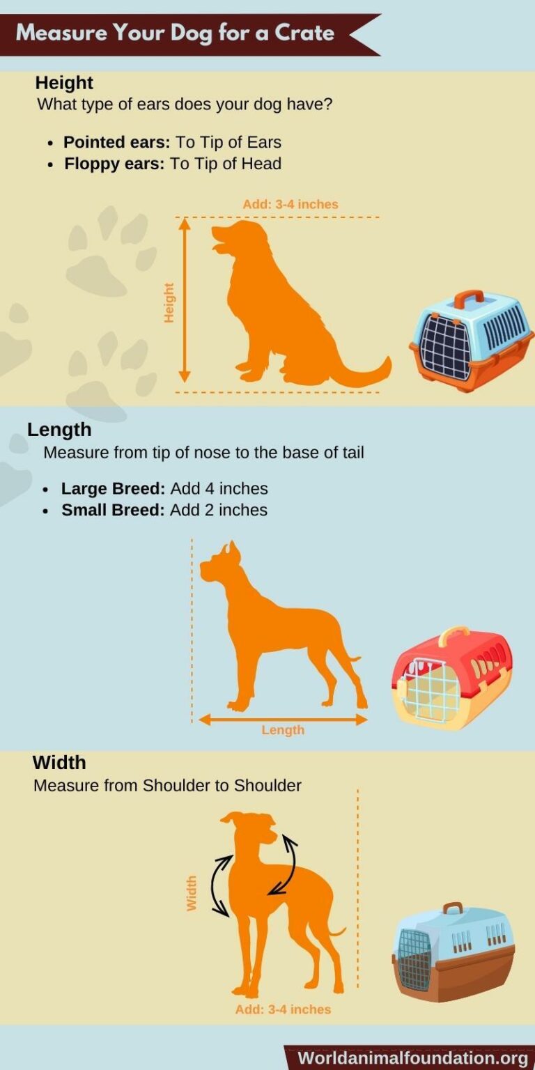 Dog Crate Size Calculator - Find The Right Size For Your Dog
