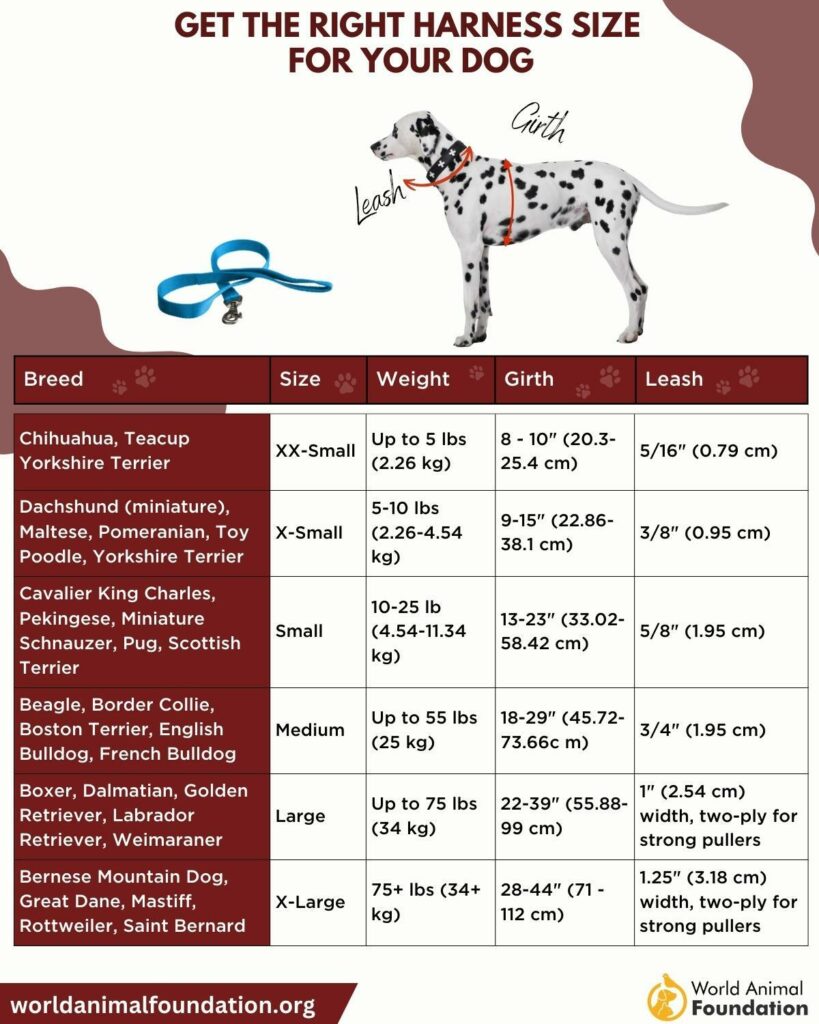 K9 harness shop size chart