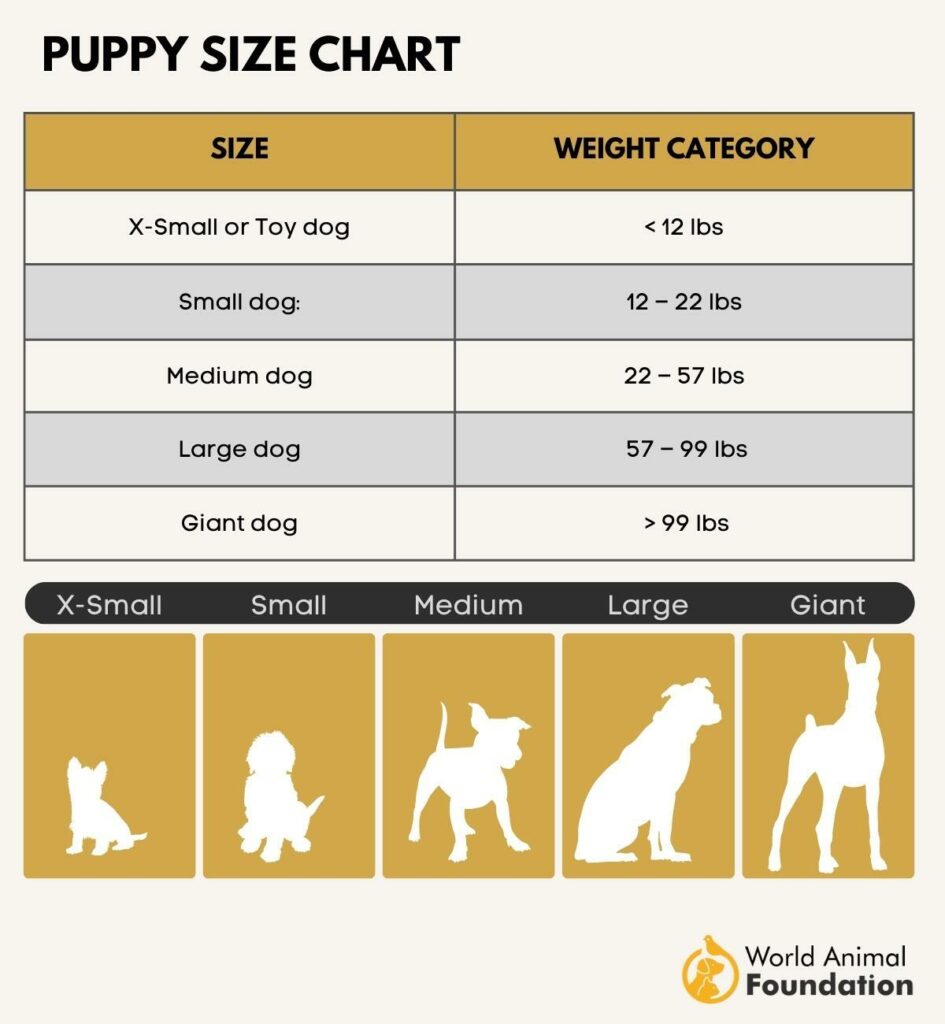 Puppy Weight Calculator Puppy Growth Tracking Made Easy