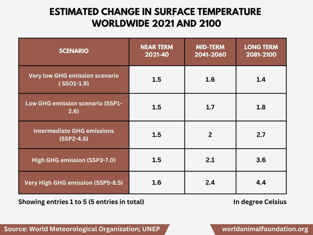 how does global warming affect the environment