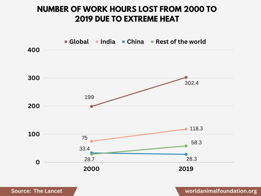 impact of global waming
