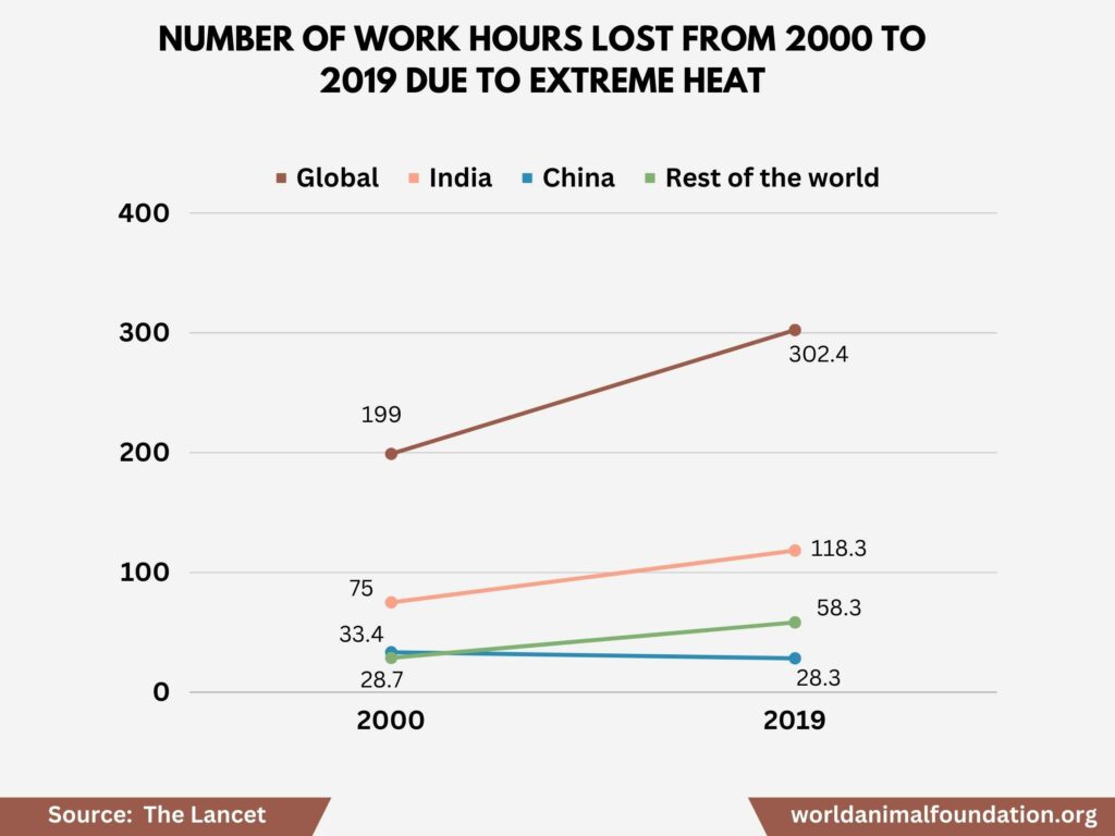 impact of global waming
