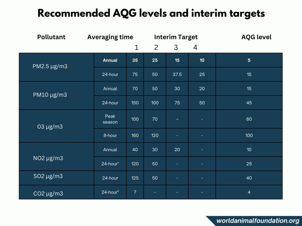 particulate matter effects
