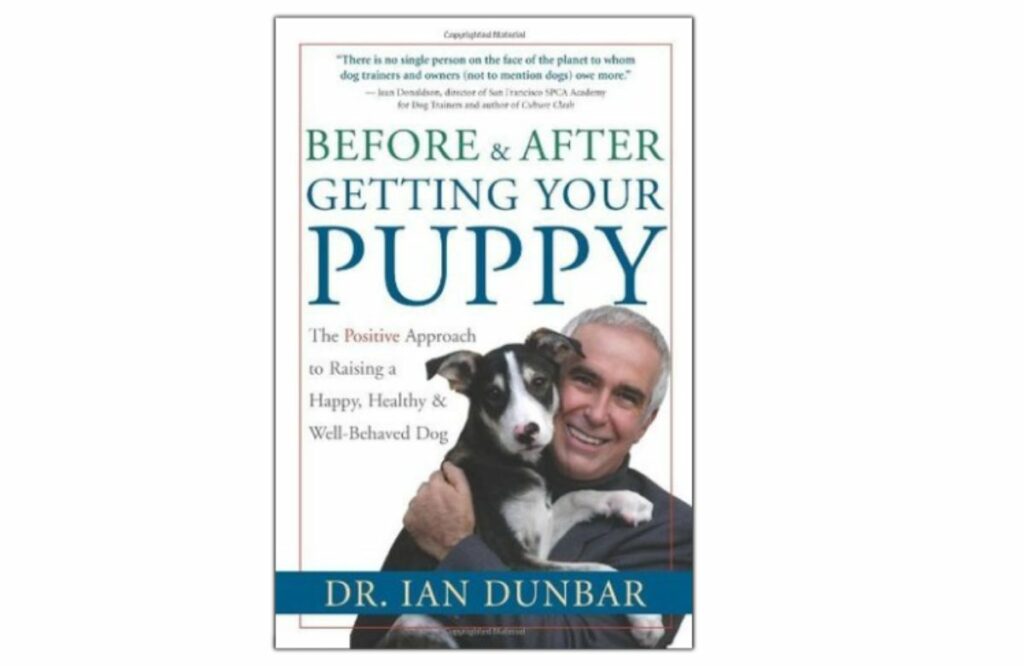 Before and After Getting Your Puppy