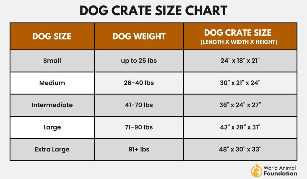 How To Crate Train An Older Dog - Proven Strategies And Tips