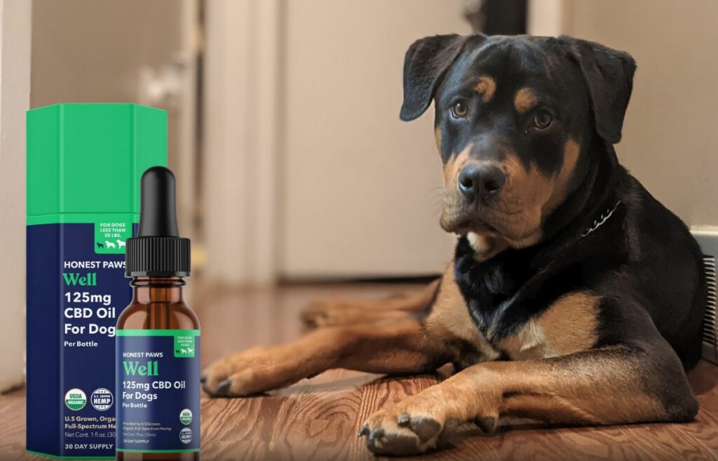 Honest Paws cbd oil