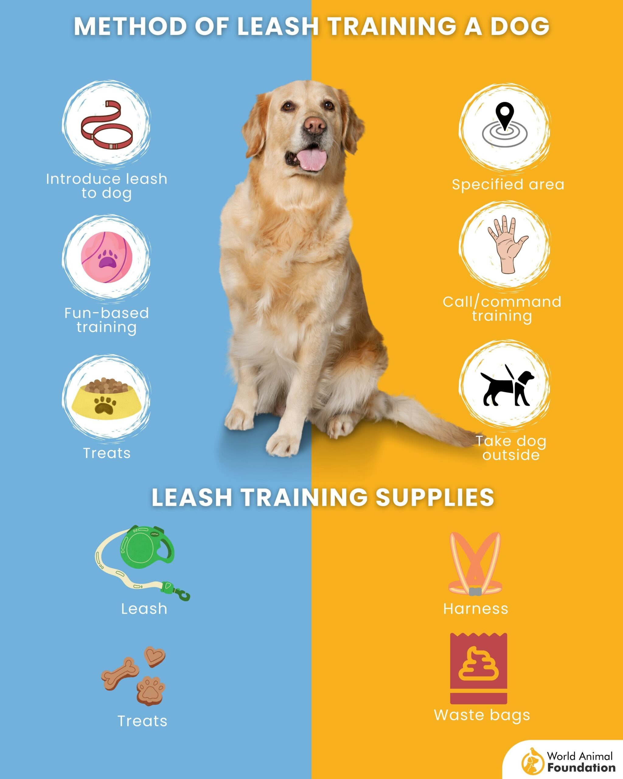How To Leash Train A Dog Expert Tips And Helpful Tricks