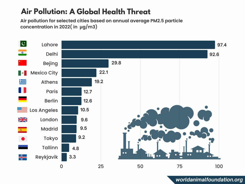 Most polluted cities