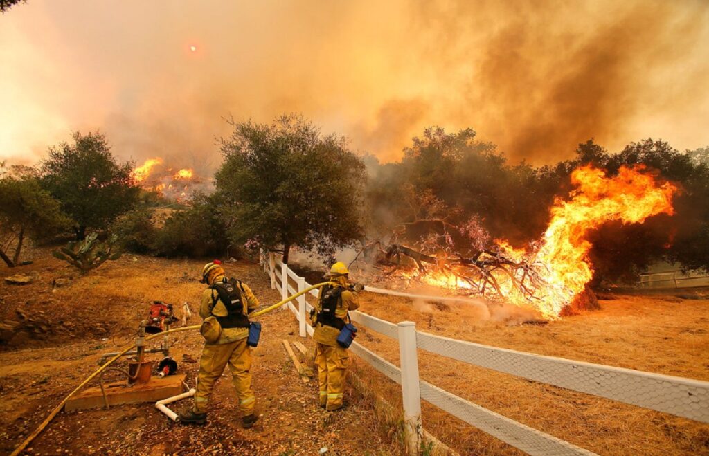 california firefighter