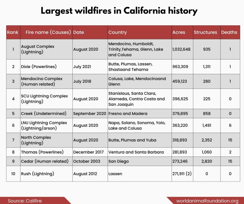 california wildfire
